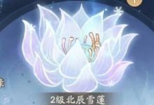 【寻道大千】新时代主宰称号团本北冥之巅玩法以及造化至宝获取攻略-寻道攻略